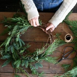 sapin