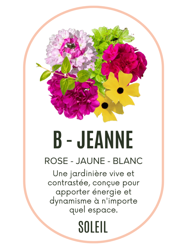Pré-commande Jeanne
