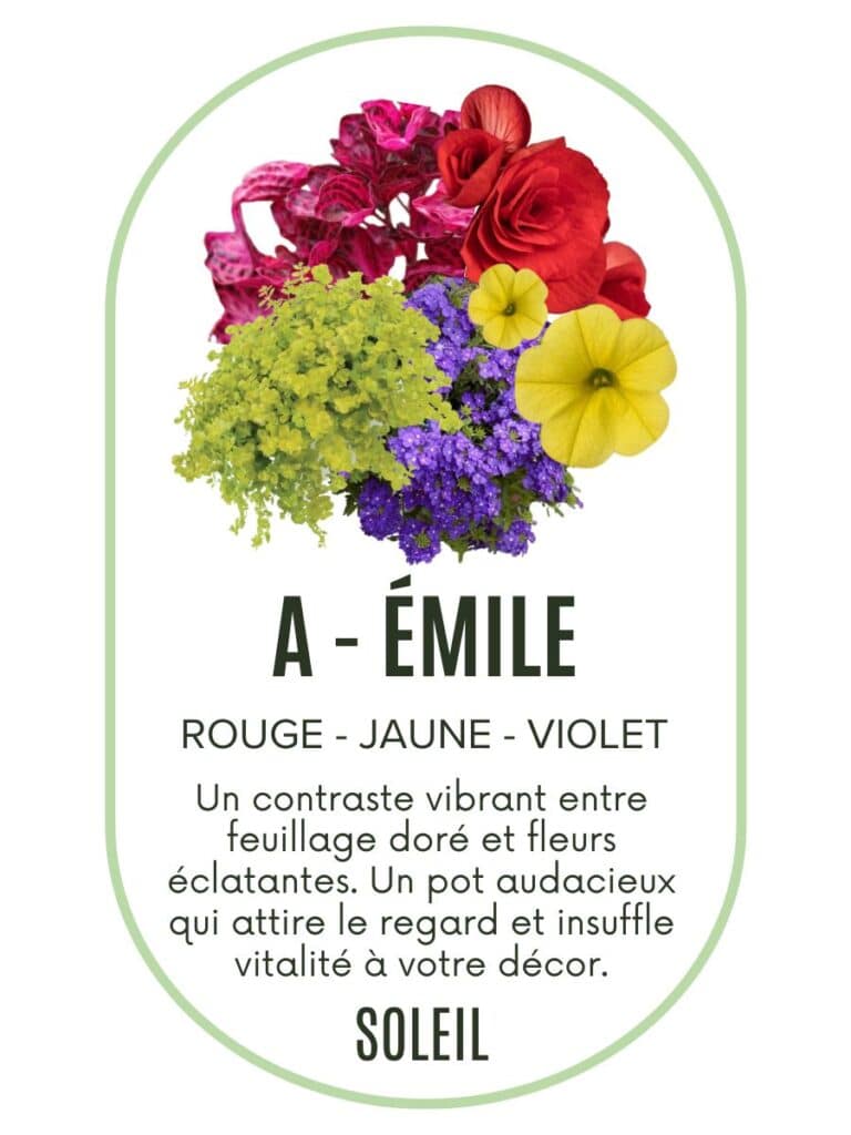 précommande Pot1