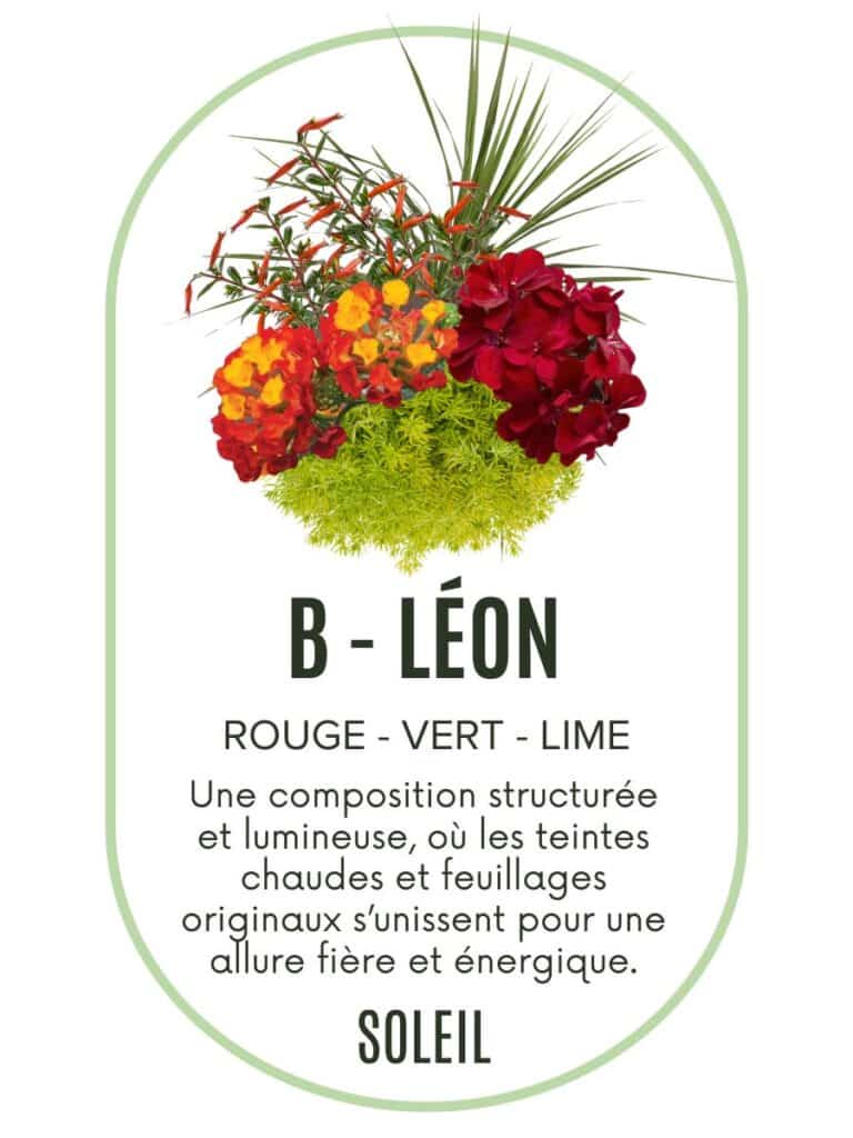 précommande Pot2
