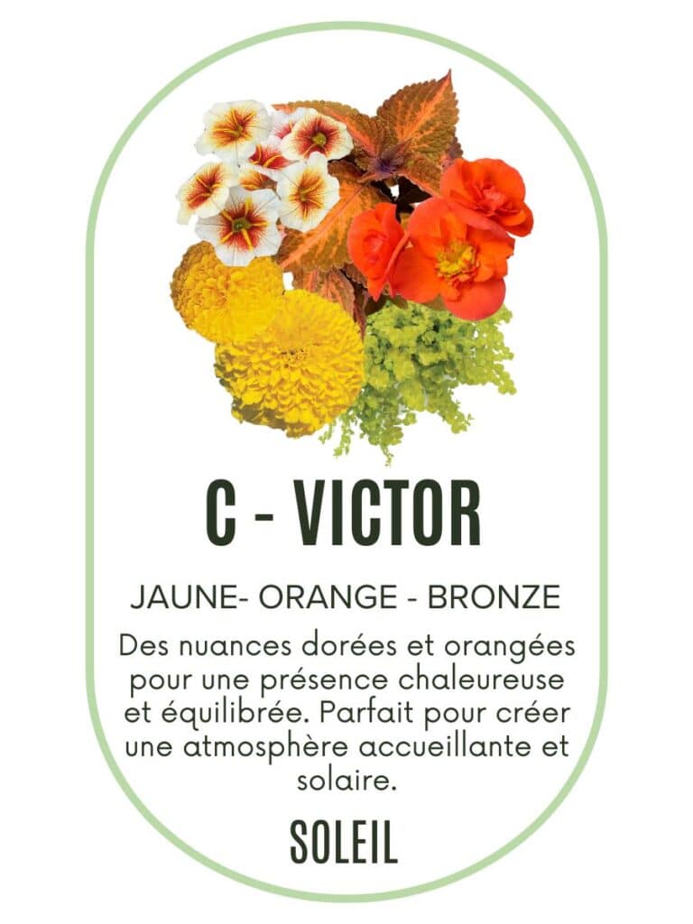 précommande Pot3