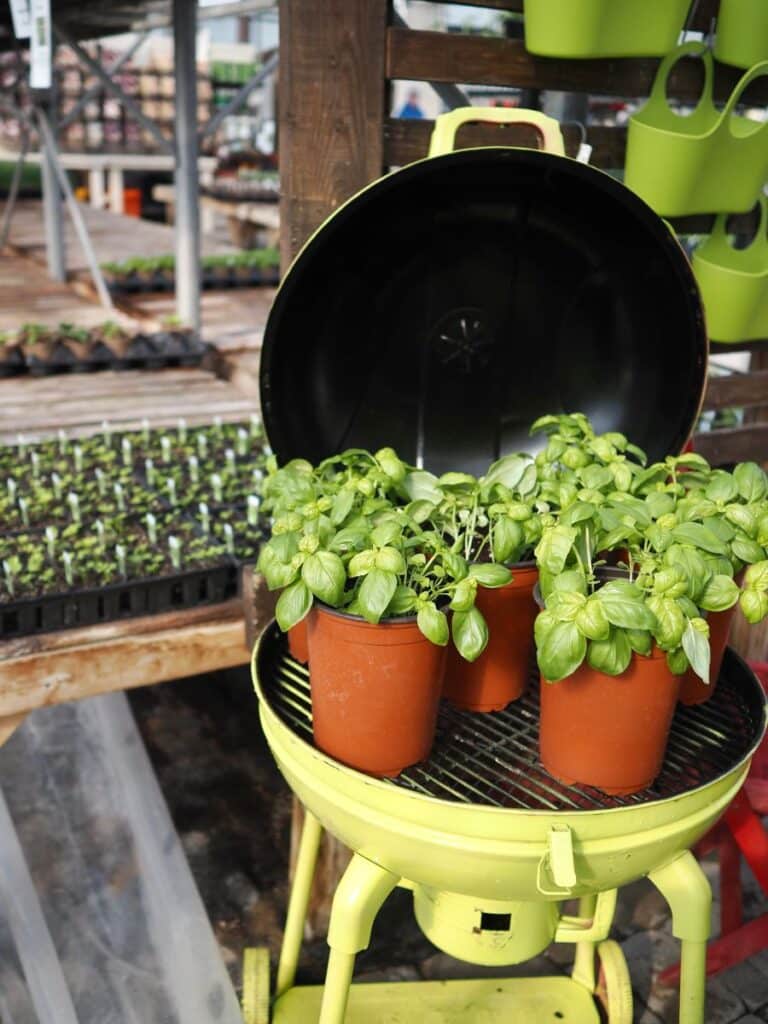 atelier fines herbes Lajoie