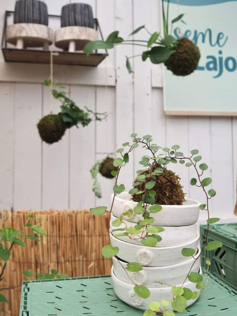 Atelier kokedama Lajoie