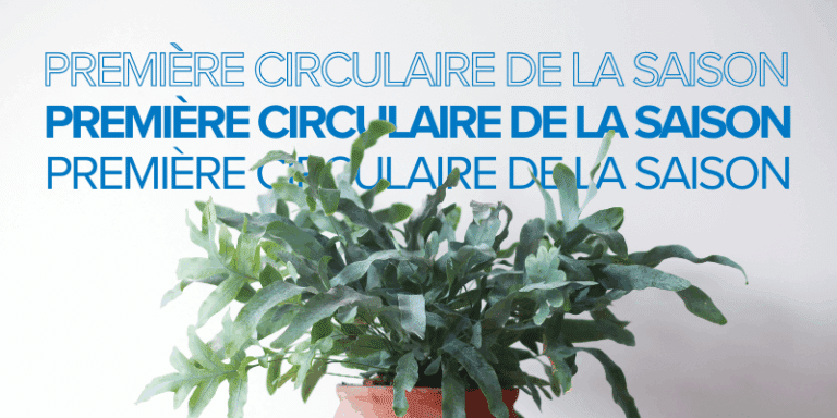 Première circulaire de la saison