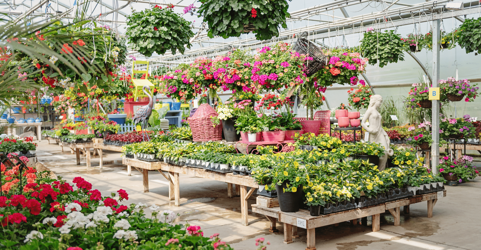 serrelajoie2025 – rabais