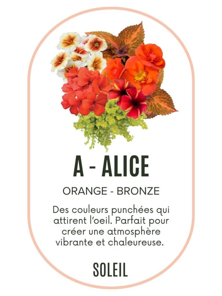 Pré-commande jardinière – Alice (1)