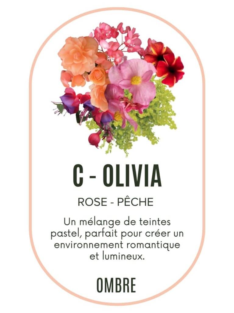 Pré-commande jardinière – modèle Olivia