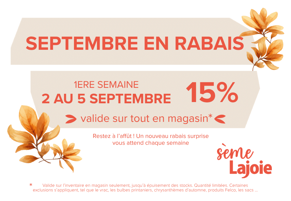 Rabais sept1