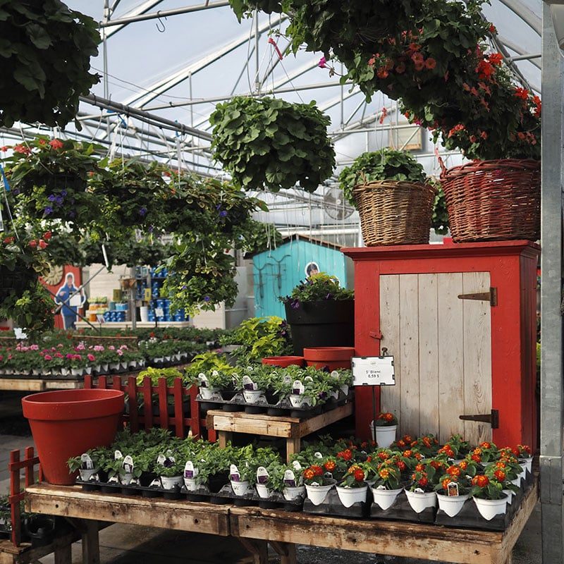 centre-jardin centre-jardin