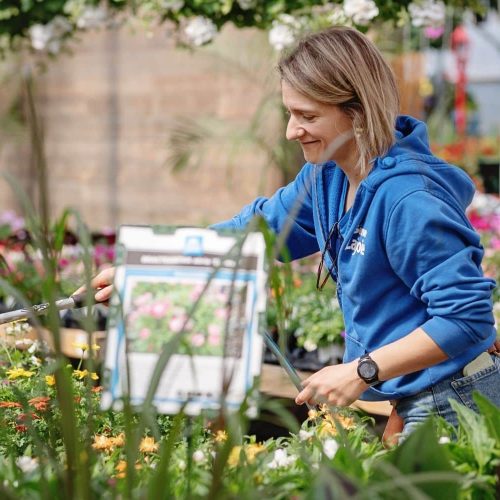 choix durable Lajoie