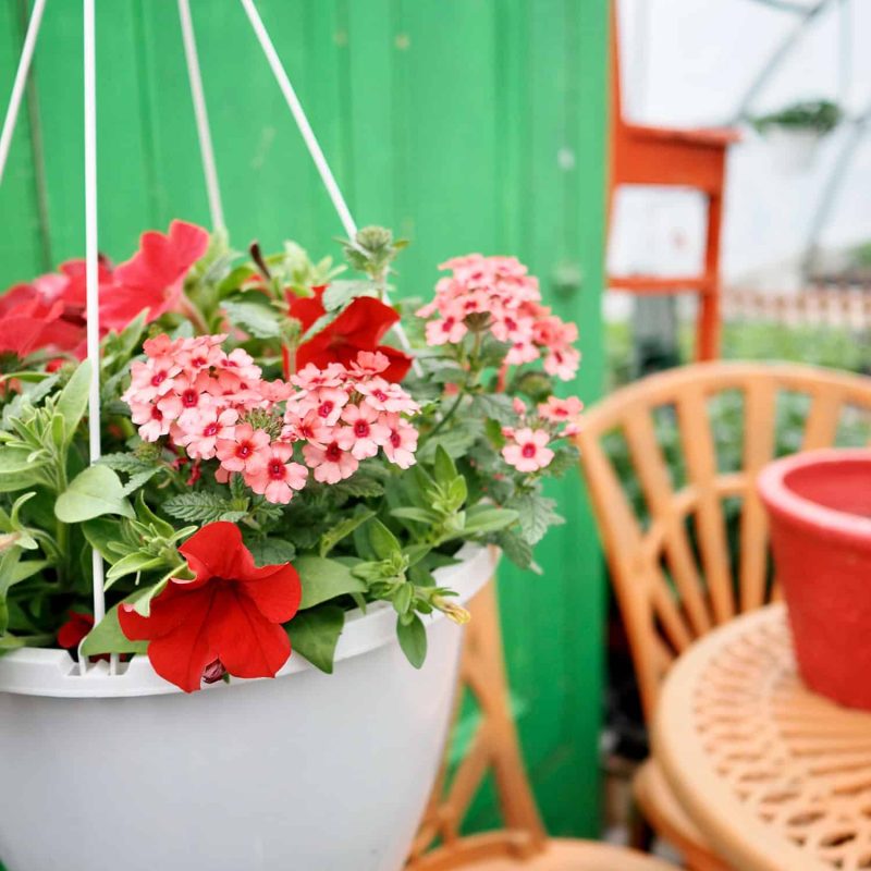 creation-sur-mesure-05