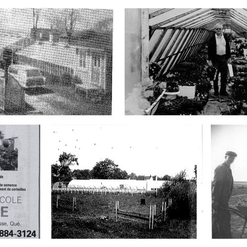 Montage photos historiques