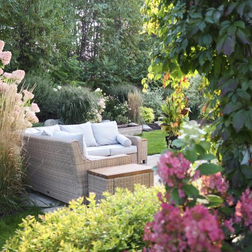 jardin en fleurs