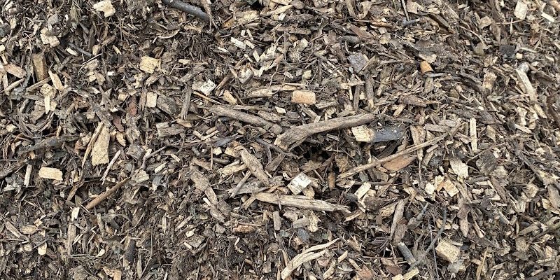 Paillis forestier Paillis forestier